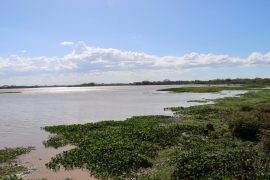  Analizan Demanda Hídrica de Humedales en la Bahía de Parita