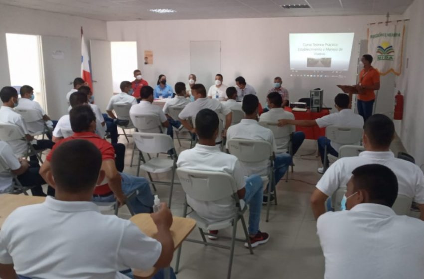  Nuevos agricultores se gradúan en el Centro de Custodia y Cumplimiento de Herrera