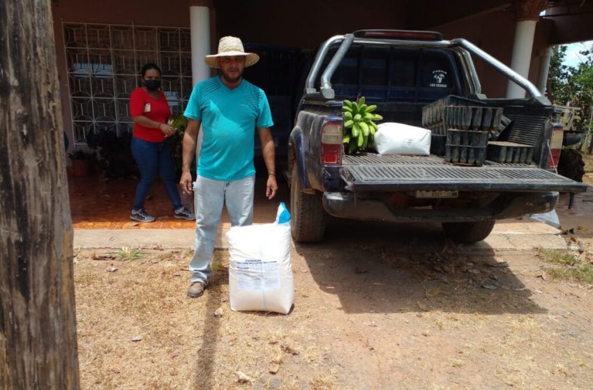  Entregan insumos a productores para fortalecer proyecto agroforestal en la cuenca del río Tonosí y La Villa 