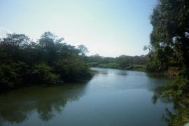  Productores fortalecen capacidades ambientales para proteger la Cuenca Hidrográfica del río La Villa 