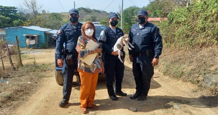  Rescatan en Herrera canino que recibía maltrato