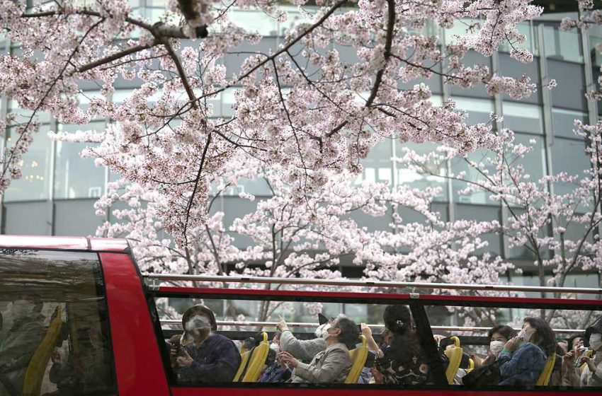  Turistas en Japón: las cosas que nunca se deben hacer en el país