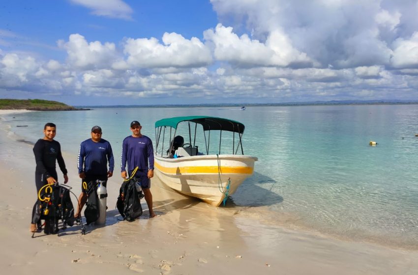  MiAMBIENTE realiza limpieza de corales en el Refugio de Vida Silvestre Isla Iguana