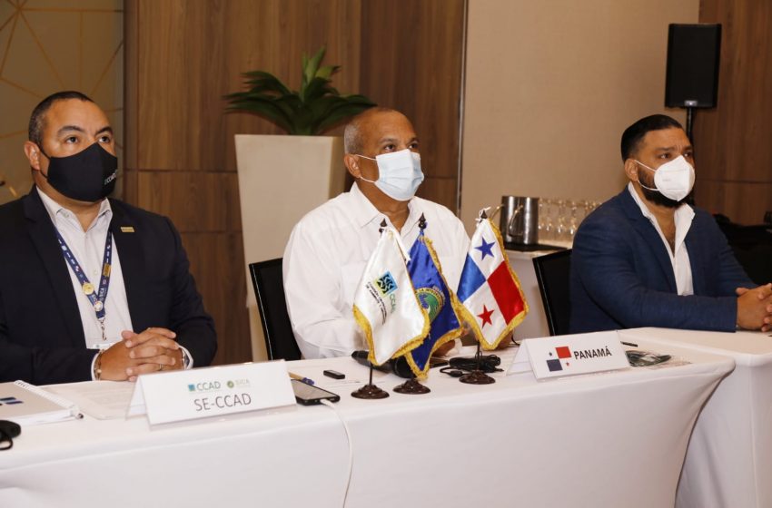  Países miembros de la CCAD abordan en Panamá la situación de los bosques frente a la lucha contra la desertificación