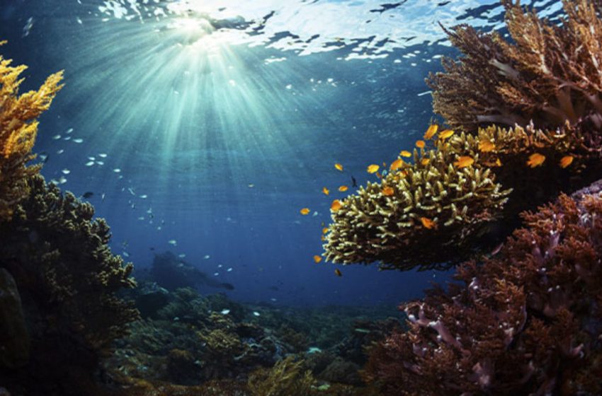  Costa Rica lidera una estrategia internacional para proteger los océanos