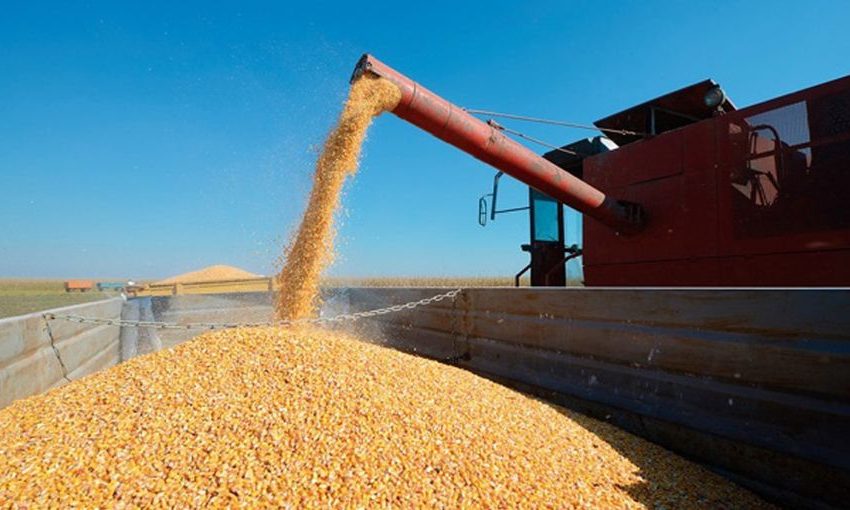  Consejo de Gabinete aprueba modificación temporal del arancel de importación de maíz