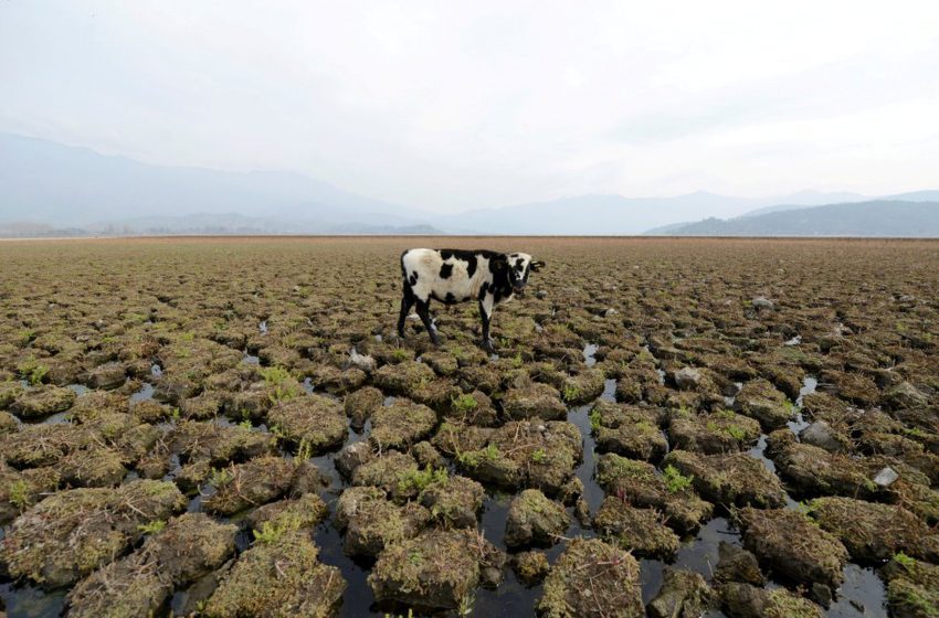  Chile hace frente a su “sequía estructural” con un plan de racionalización de agua en Santiago