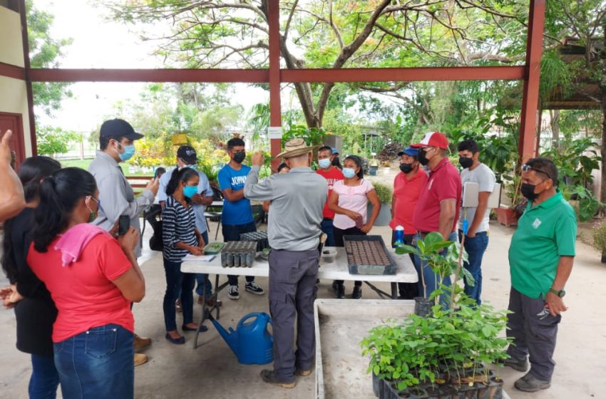  Coclé capacita a voluntarios ambientales y organizaciones de base comunitaria en CEDESAM