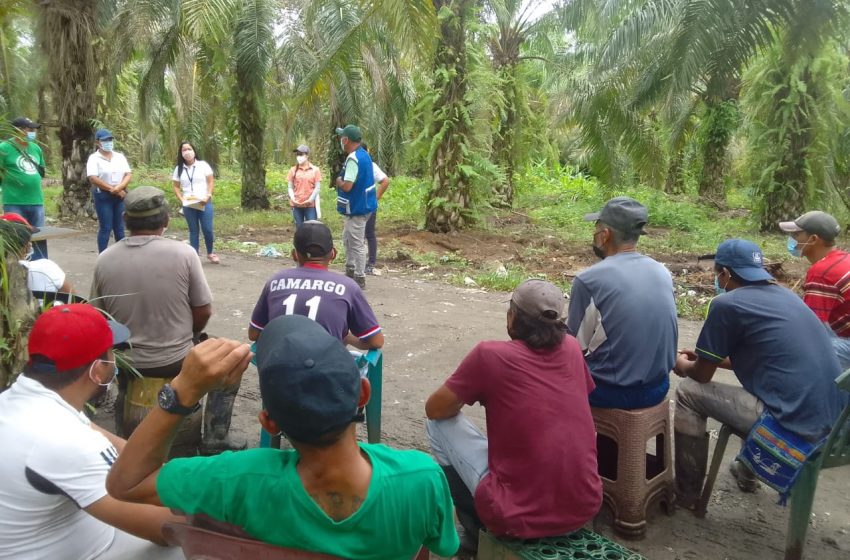  Impulsan la organización comunitaria en Tierras Altas