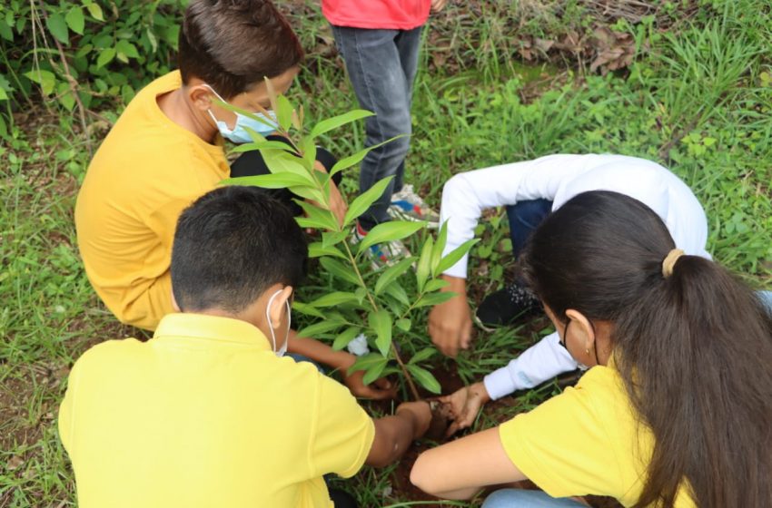  Cirueleños participan en jornada de restauración forestal