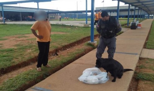  Canino detecta artículo prohibido en La Nueva Joya