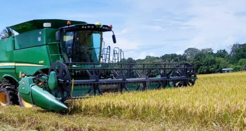  Cadena de arroz analiza abastecimiento, avance de siembra y pagos