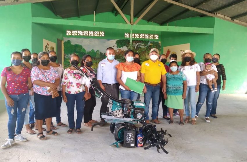  Mujeres rurales reciben personería jurídica y equipo para seguir trabajando la tierra en Antón