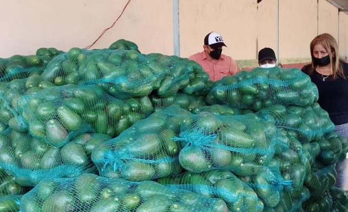  Continúa entrega de cosechas al IMA por pequeños productores Chiricanos