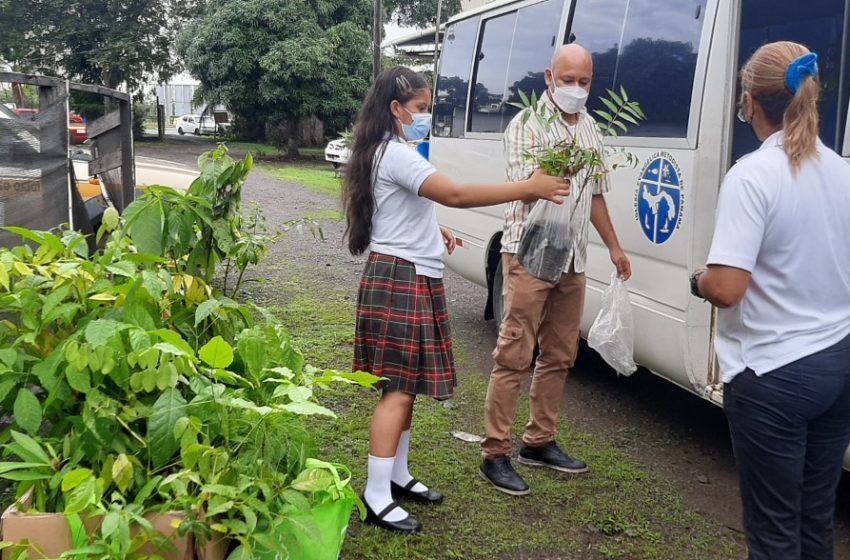  Estudiantes del IPA aportan semillas para la producción forestal