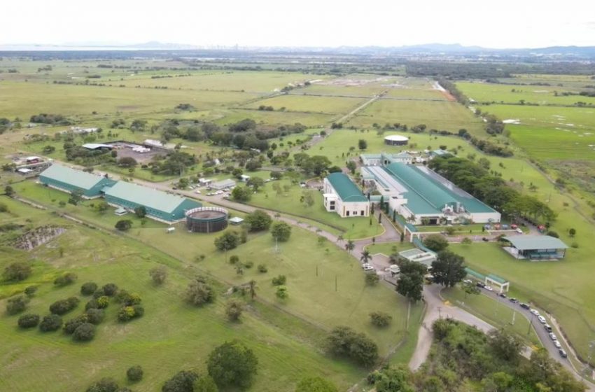  Laboratorio de COPEG es reconocido para referencia mundial de diagnóstico del gusano barrenador