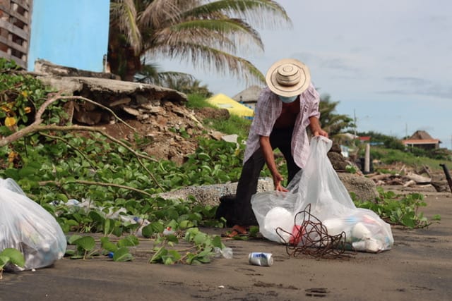  Santeños protegen a las tortugas marinas limpiando Playa El Uverito