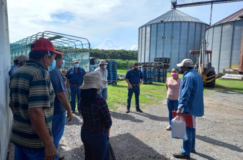 Técnicos del sector agropecuario son capacitados sobre programas de granos almacenados