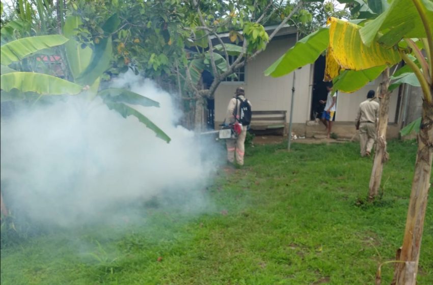  Técnicos en Control de Vectores continúan acciones en Bocas del Toro