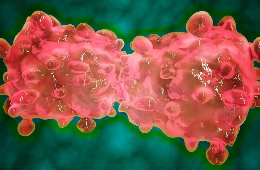  Hallan un mecanismo que explica cómo ‘revertir’ el cáncer: transformar una célula maligna en una normal