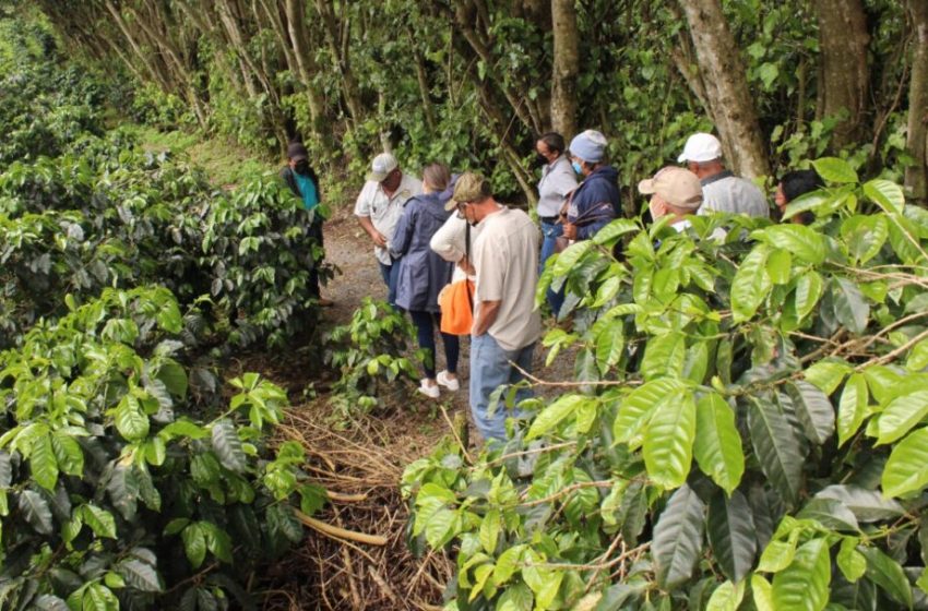  MIDA realiza intercambio de experiencias en fincas agroturísticas de Chiriquí 