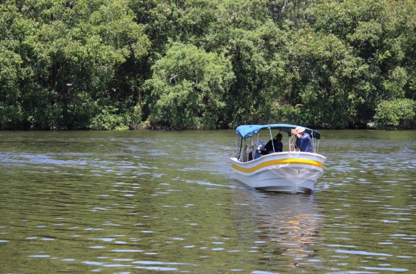  Se mantiene monitoreo en manglares de David en Chiriquí