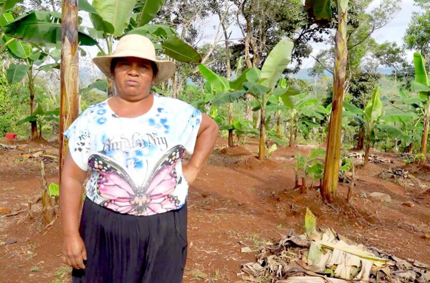  El Panamá indígena busca empoderar a sus mujeres