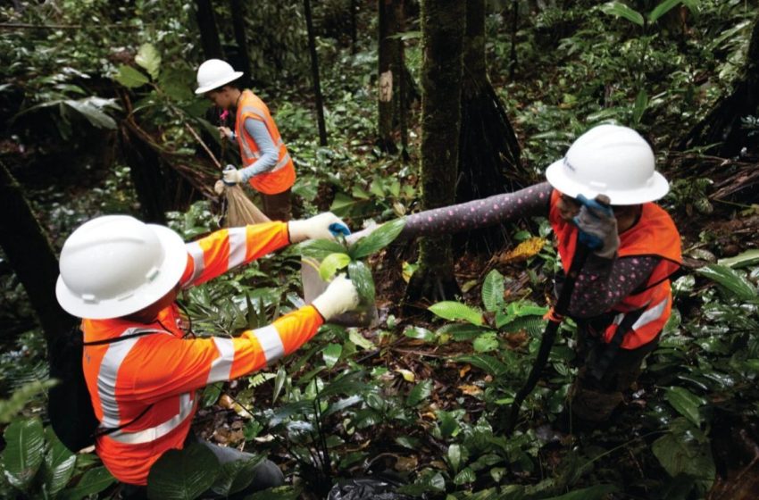  Cobre Panamá incrementa recursos para proteger el corredor biológico mesoamericano