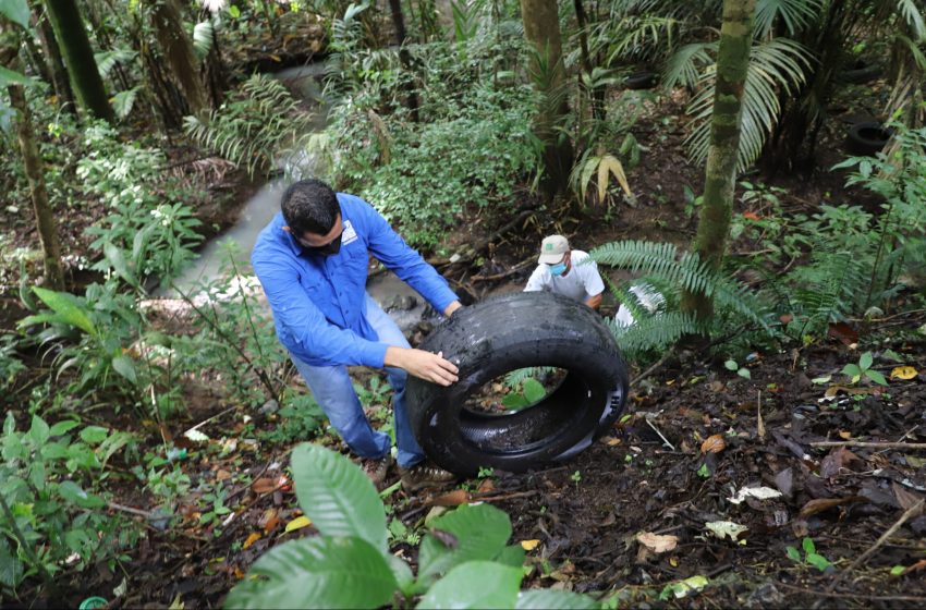  Voluntarios ambientales se unen para limpiar áreas del Parque Nacional Soberanía