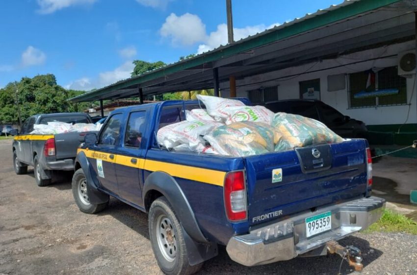  Productores de Herrera, Los Santos y Coclé se benefician con semillas de pasto mejorado