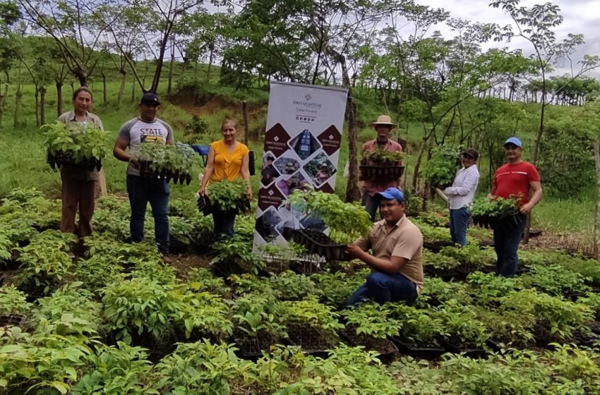  Cobre Panamá: Integrando a las comunidades a través de la reforestación