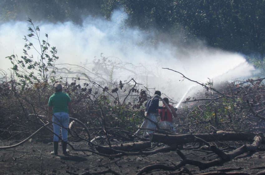  En Chiriquí disminuyen los IMAVE en áreas protegidas