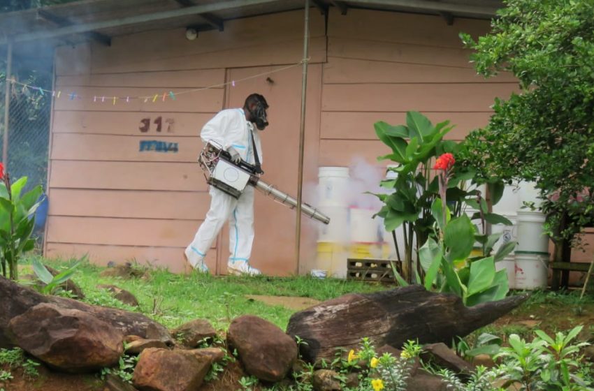  ¡Lamentable! Panamá registró la primera muerte por dengue en este 2022