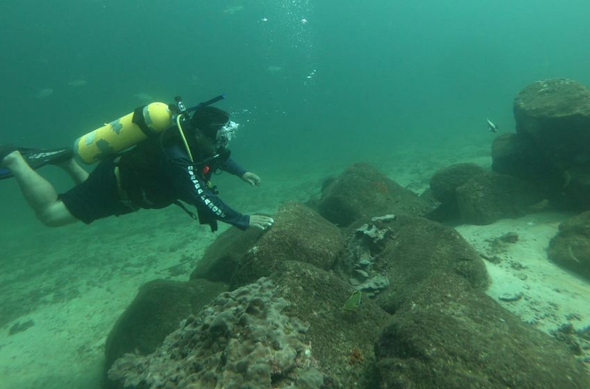  Monitoreo evidencia buen estado de salud de arrecifes coralinos en el RVS Isla Iguana