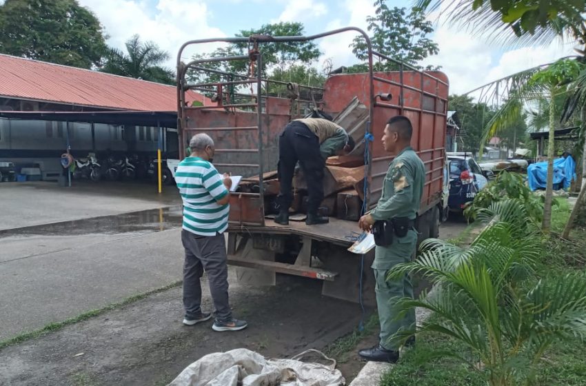  Dos detenidos por realizar tala ilegal dentro de Parque Nacional Soberanía