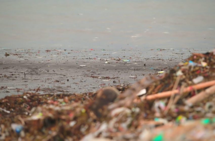  Expertos de 190 países debatirán sobre la conservación de los océanos en Panamá