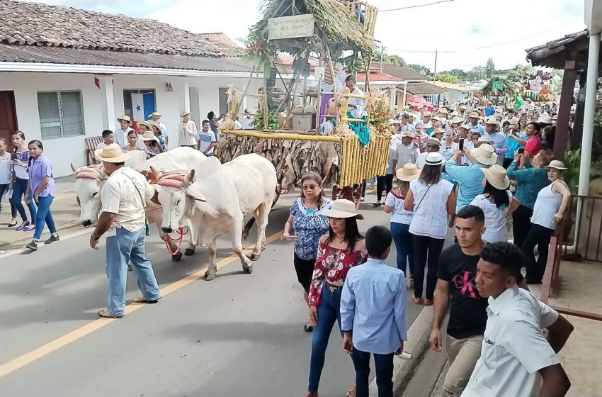  100% de ocupación hotelera registró el Festival del Toro Suelto, en Pedasí