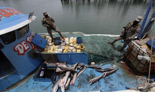  Panamá expone sus avances contra la pesca INDNR con respecto a la última auditoría de la UE