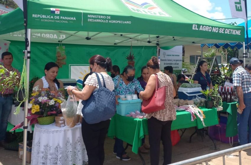  Dolegueños aprovechan las ofertas en la Agroferia interinstitucional del Campo a la Mesa