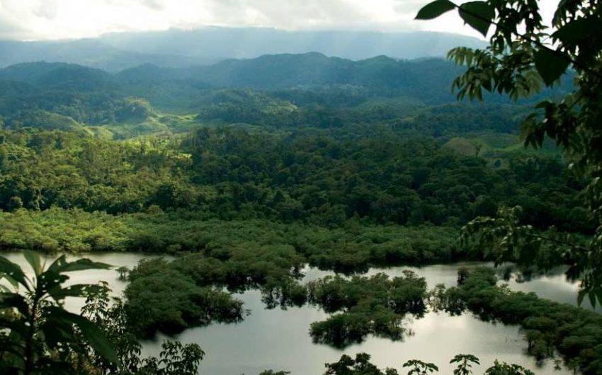  Banco Mundial financiará proyecto ambiental de desarrollo sostenible y conservación de la biodiversidad en Panamá