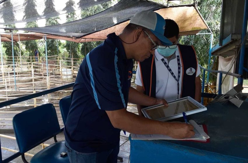  Acodeco Veraguas cerró báscula en subasta ganadera