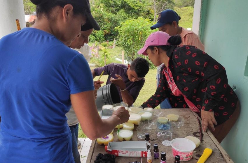  Fortalecen gestión ambiental del grupo comunitario de Bajo Chiriquí