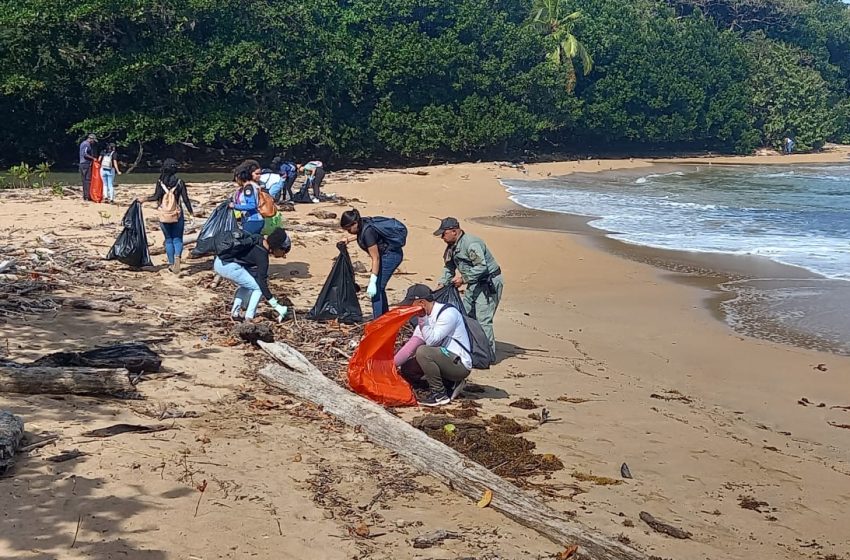  Universitarios realizan jornada de limpieza de playa en Área Protegida en Colón
