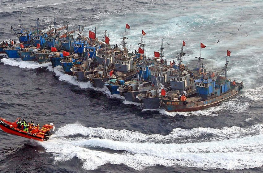  La flota pesquera china es la más depredadora del mundo