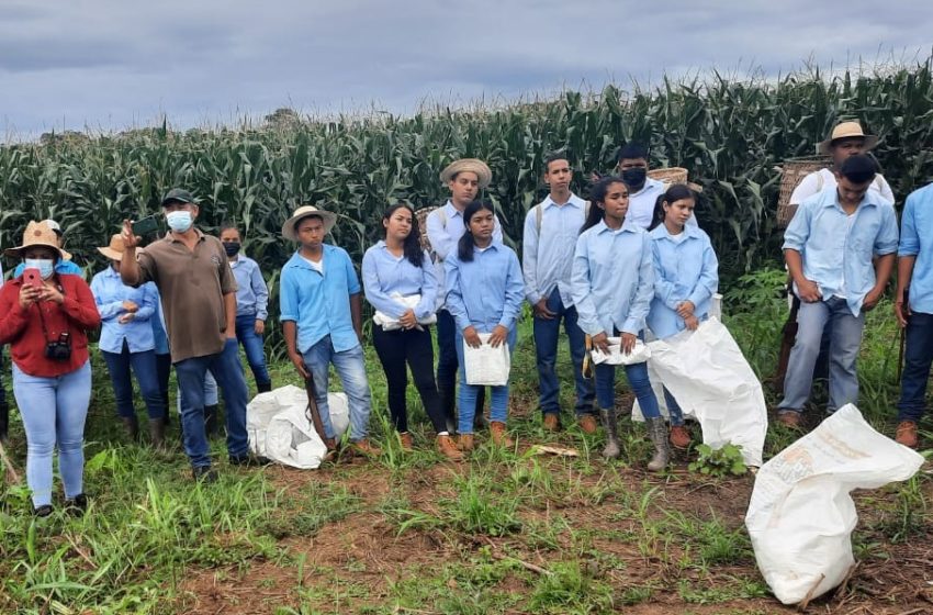  Futuros bachilleres agropecuarios con nuevas oportunidades para insertarse en el mercado laboral