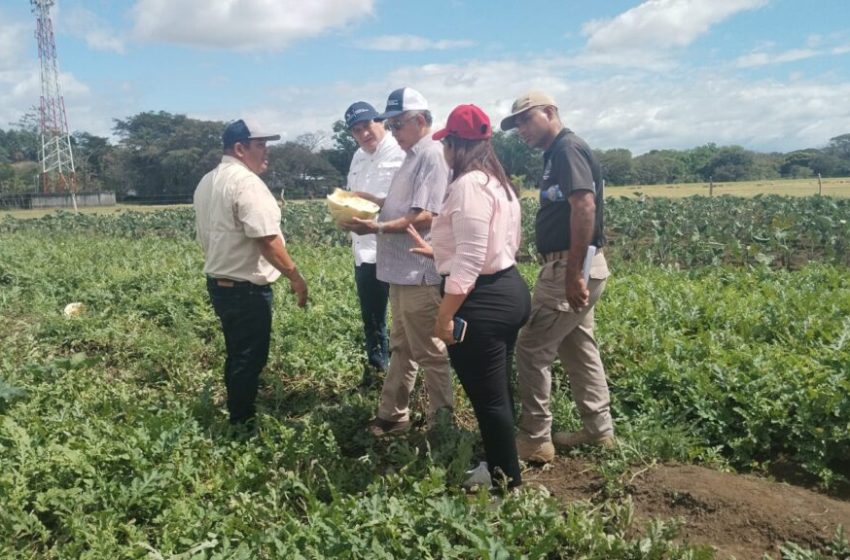  Programa de huerto “Encontrando el Camino Correcto”  benefician a jóvenes en Chiriquí