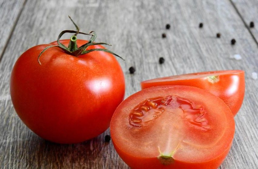  Los tomates y las patatas, ¿fuente de futuros tratamientos contra el cáncer?