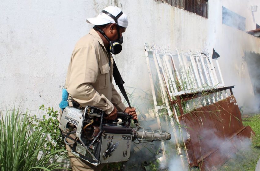  San Miguelito registra más de 800 casos de dengue