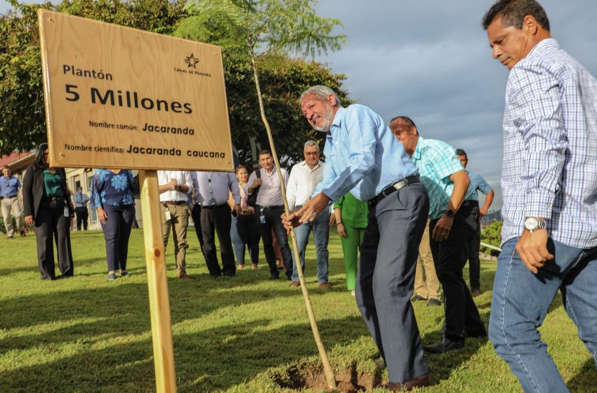  Canal de Panamá celebra 21 años de reforestación: un árbol por cada panameño