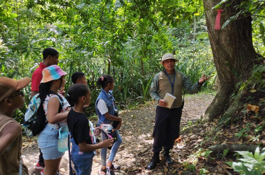  Niños visitan área protegida en Colón